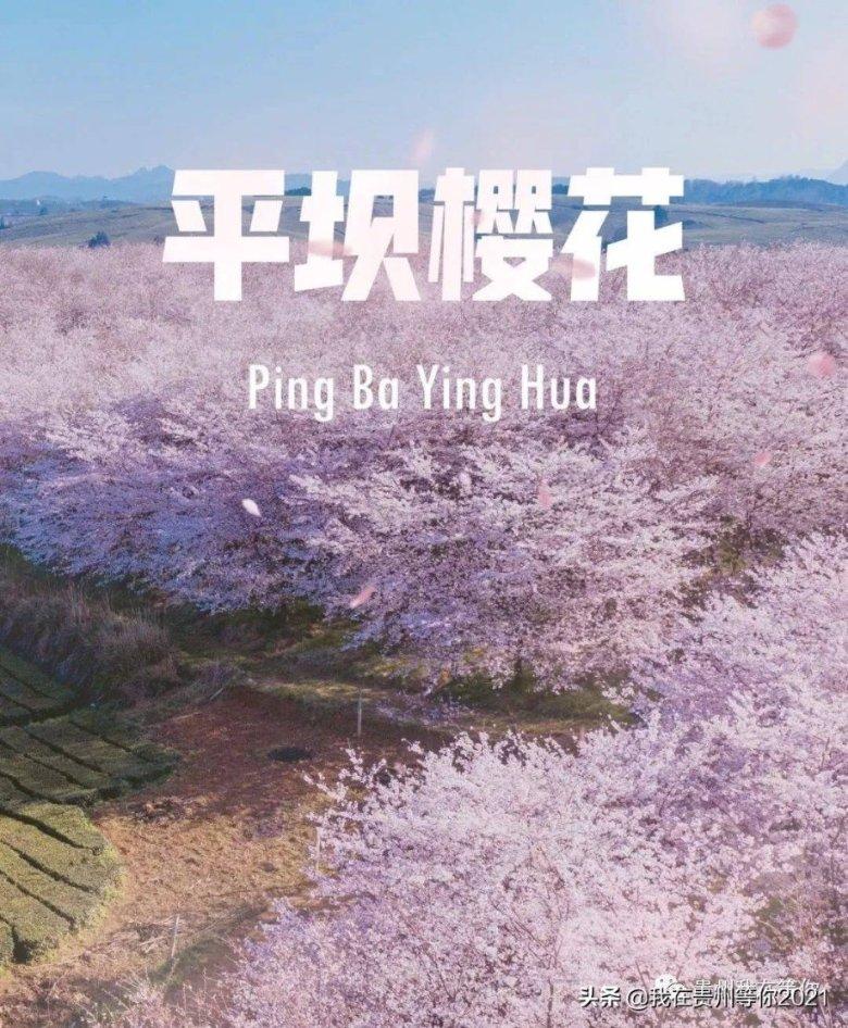 逃离整洁的杂物间